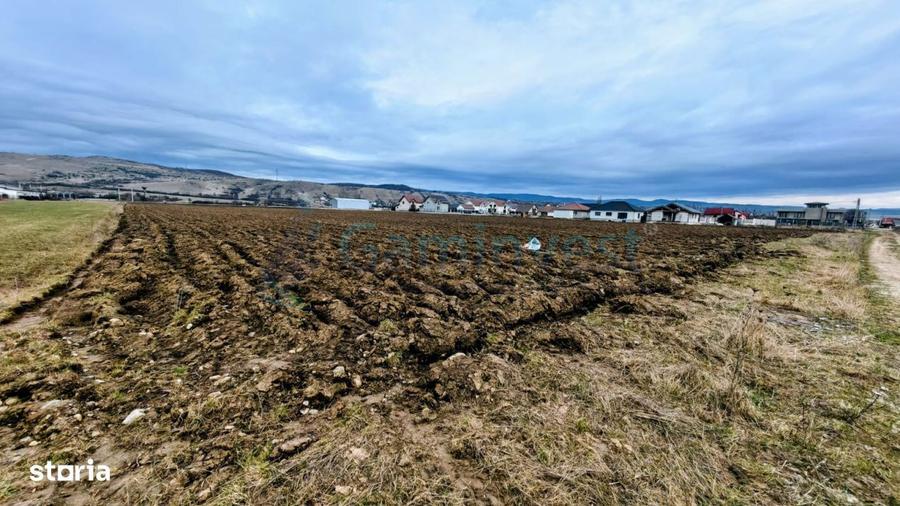 Teren intravilan rezidential, 34650 mp Alesd, Bihor, Gaminvest, V4541 - 1