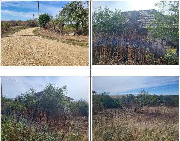 Casa si teren Sat Guruieni, cota parte de 1/2 , ID: R2319667 - 10