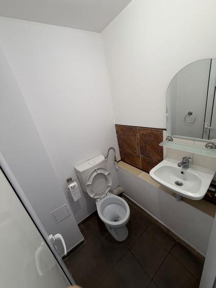 Spatiu comercial de inchiriat 24mp stradal Strada Paltinis. 450 Neg. - 6