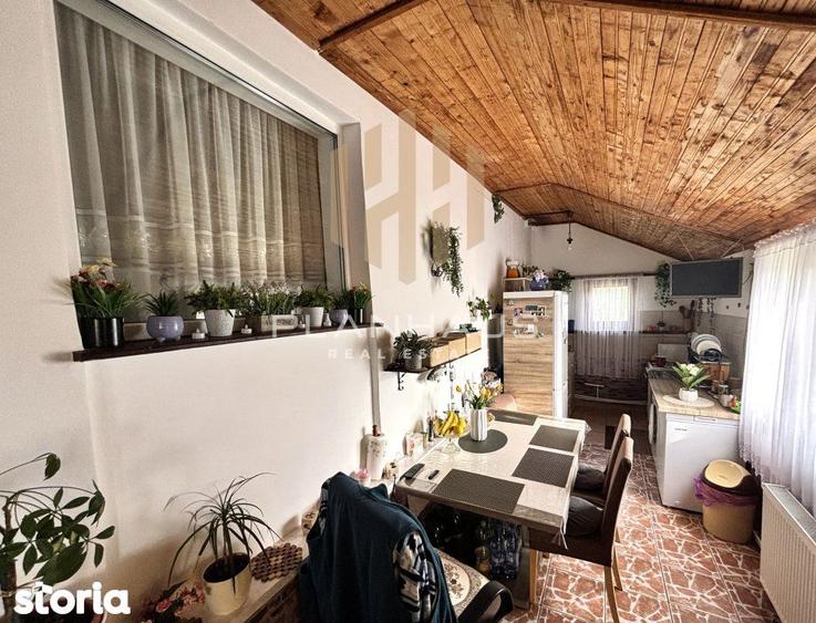 Casa individuala de vanzare Valea Borcutului - 7
