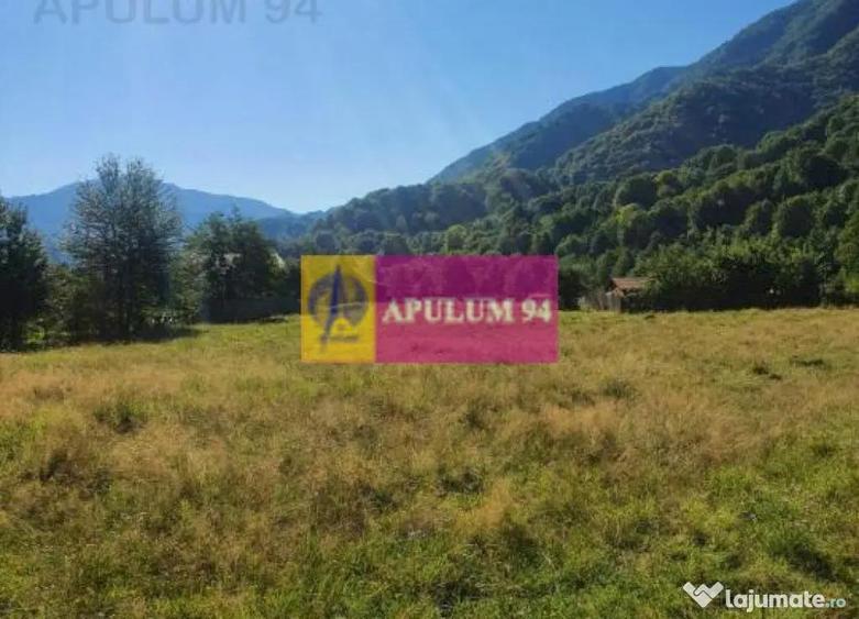 Teren Jude?ul Valcea - Brezoi, Valea lui Stan - 12