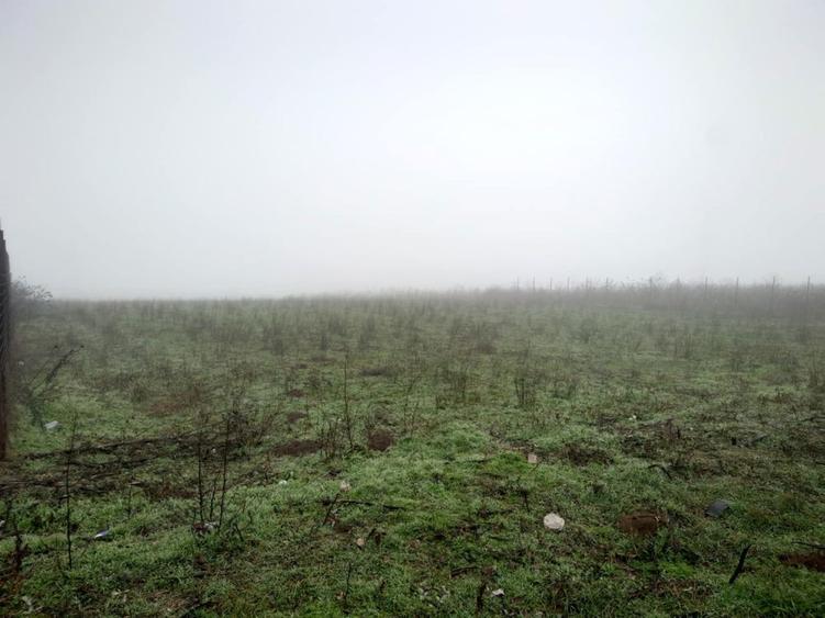 Vand teren Vanatori DN26 - 3