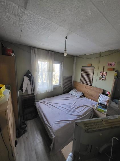 Vand gospodarie LETCA NOUA la 25 min de Bucuresti - 4