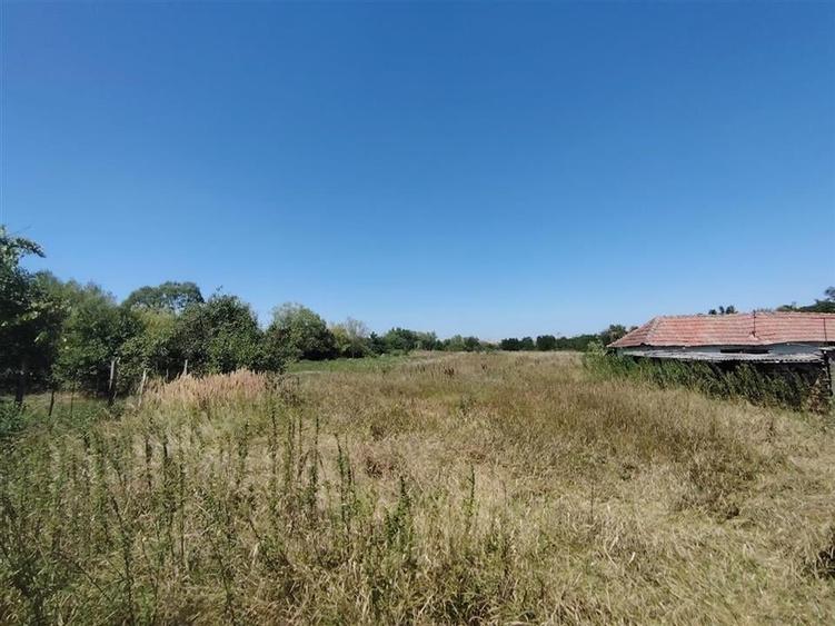 RECO Teren intravilan in Paleu la doar  22euro/mp - 2