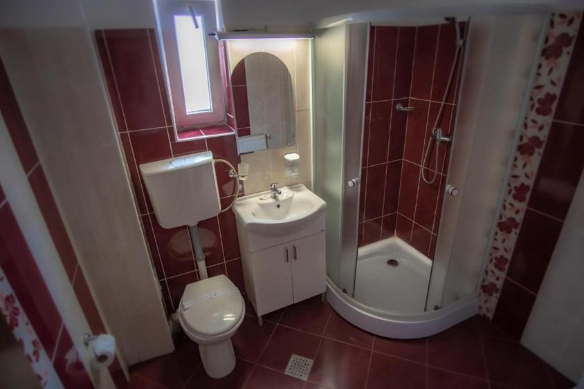 Vanzare Vila Panseluta - Pensiune/Vila turistica deosebita Pucioasa - 9