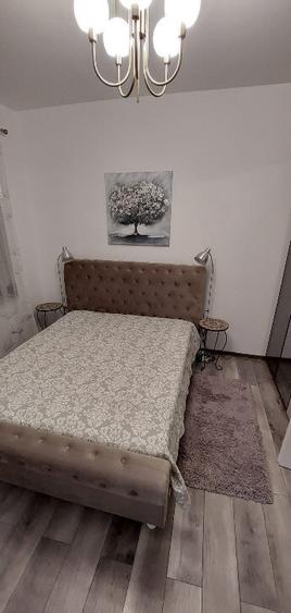 Casa singur curte langa parcul Herastrau - 13