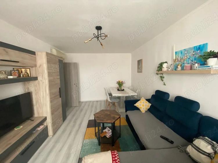 Apartament 2 camere de vanzare Drumul taberei(bucla) - 10