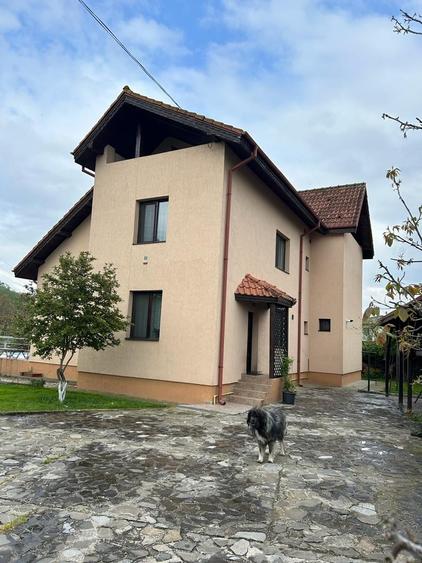 Vila superba  cu Piscina si 5000 mp teren - 5