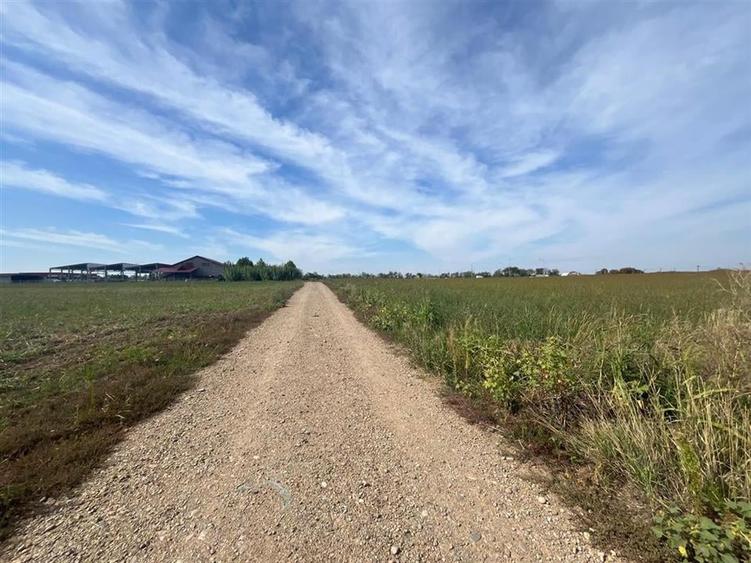 RECO Teren intravilan  industrial 6502 mp -FRONT 74 ML -centura Biharia - 6