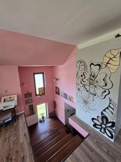 Casa spatioasa Traian - 14