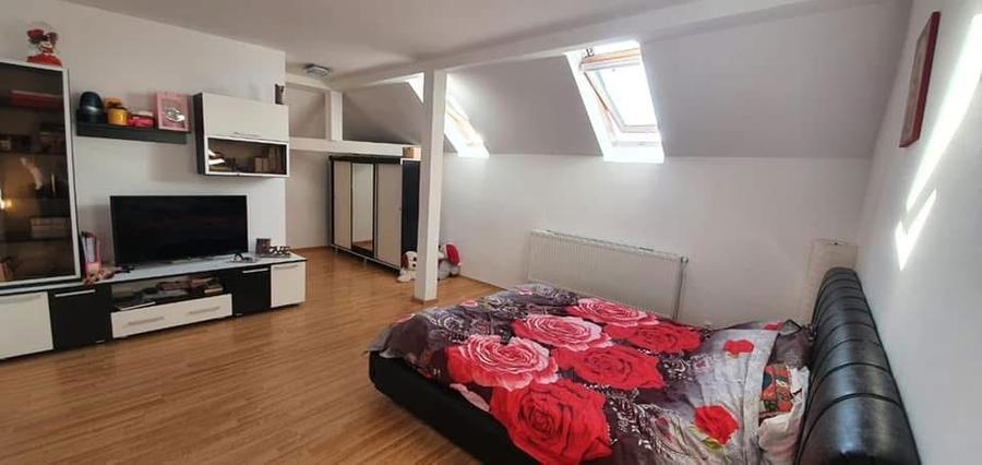 Apartament cu o camera - 3