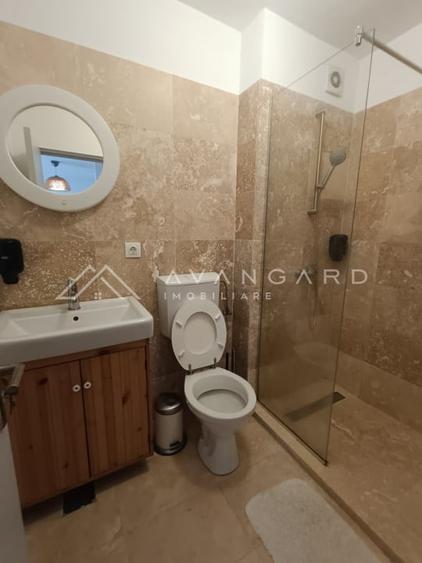 | Duplex Europa | 213 mp | 262 mp teren | Potential Investitional | - 8