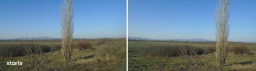 Teren de 5800 mp, în Central