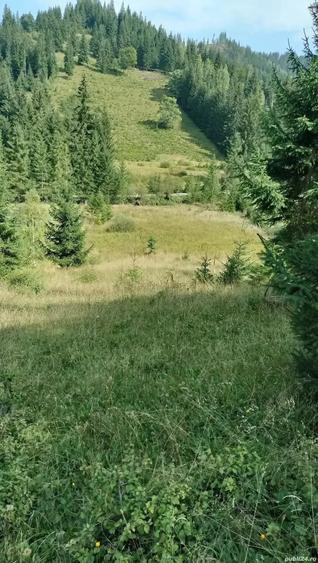 Teren de 18600 mp, în Panaci