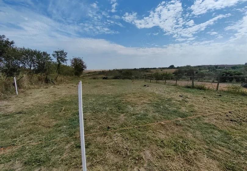 Casă cu 3 camere cu Teren 2448 Mp în Central