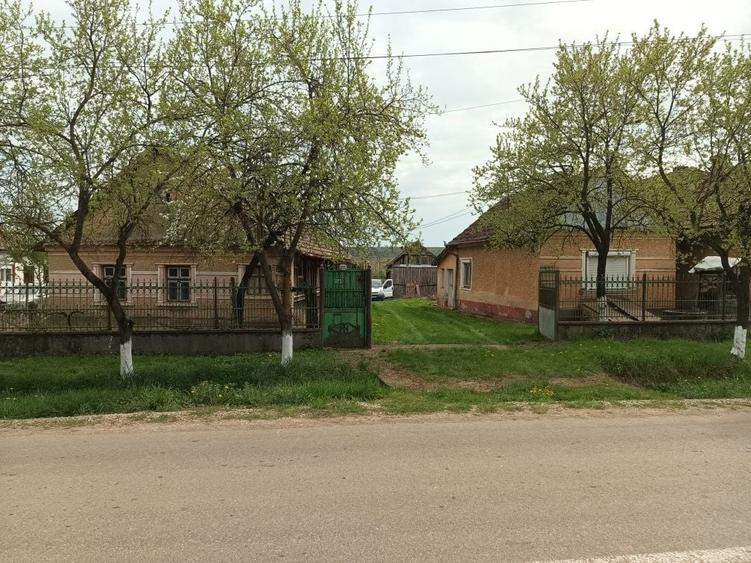 Casă cu 2 camere în Albiș