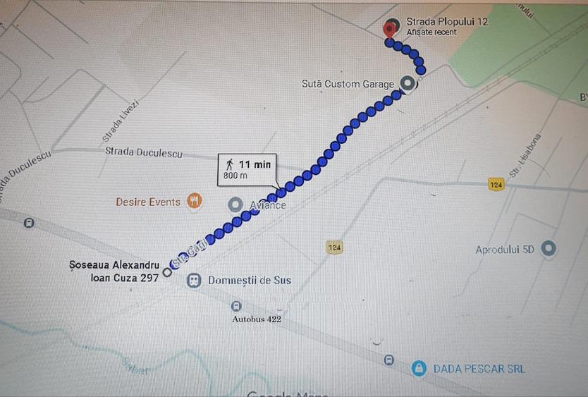 Teren Domnesti Catiche - 2