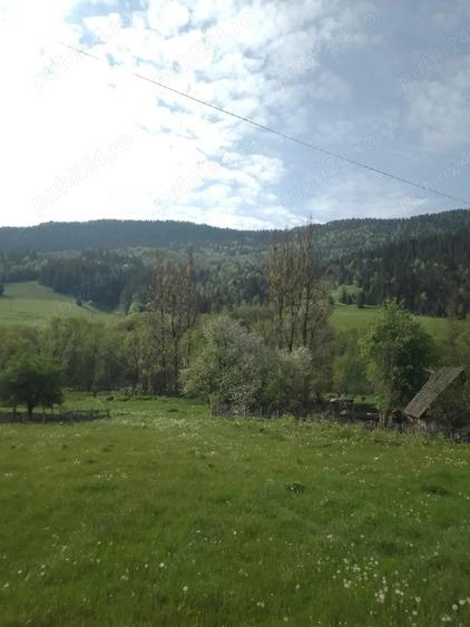 Vand teren in com.Vidra jud.Alba. - 2
