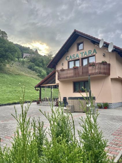 Inchiriere Paste - 1