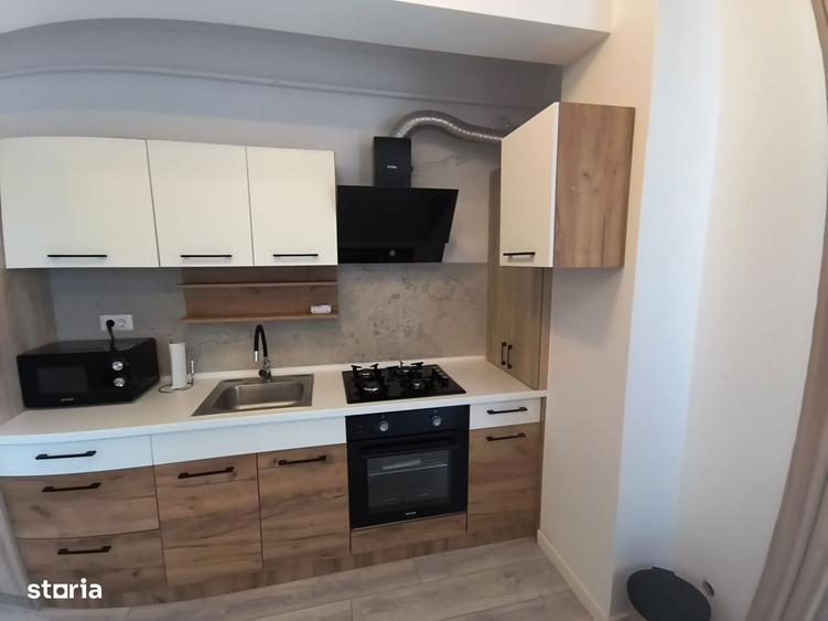 Apartament modern de inchiriat Ansamblul Rezidential Alexanderman - 7