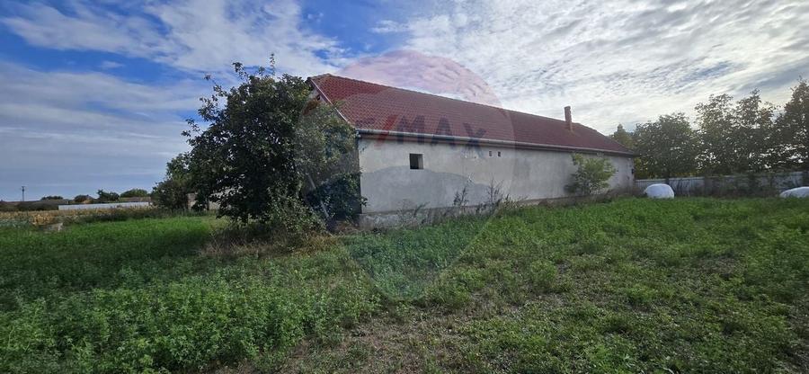 Teren si casă cu teren generos în Socodor - 18