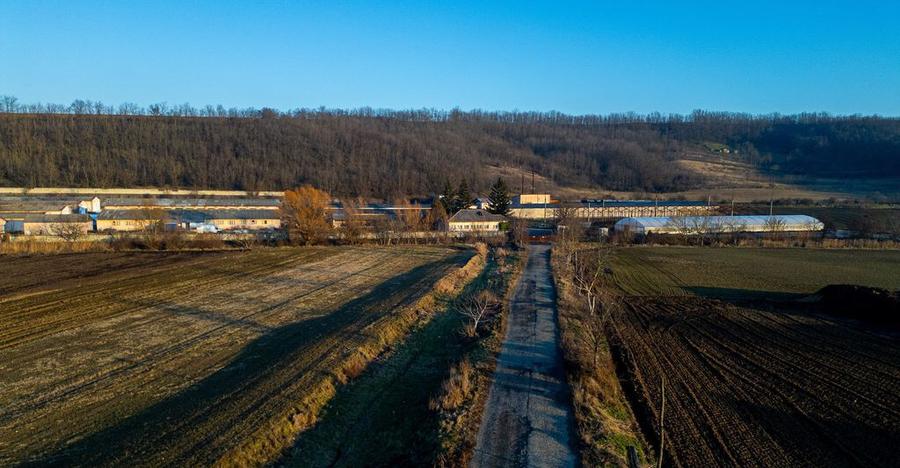 Fosta Ferma a Partidului de la Horgesti - de vanzare - 24