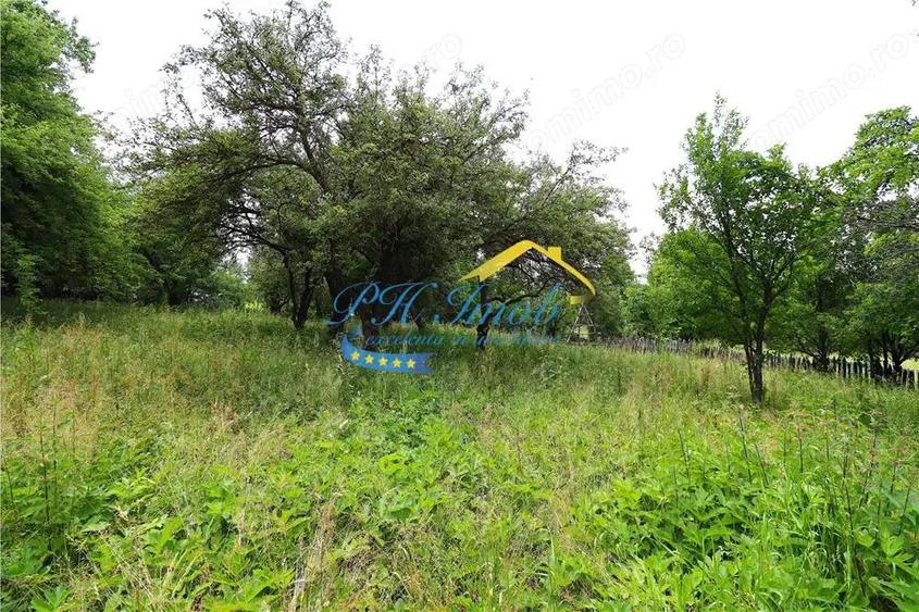 Teren intravilan de vanzare Valea Doftanei, Prahova - 3