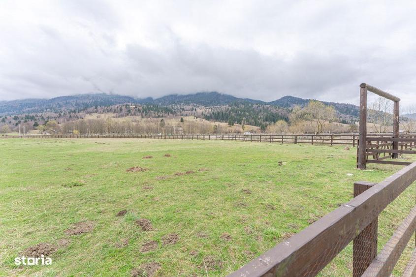 Teren intravilan, 6.900 mp, construibil Plaiul Foii, Zarnesti - 7