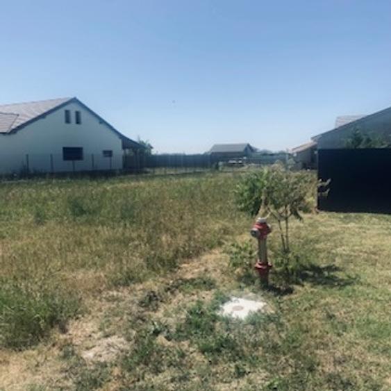 Vand Teren Mosnita Veche 678 mp! - 2