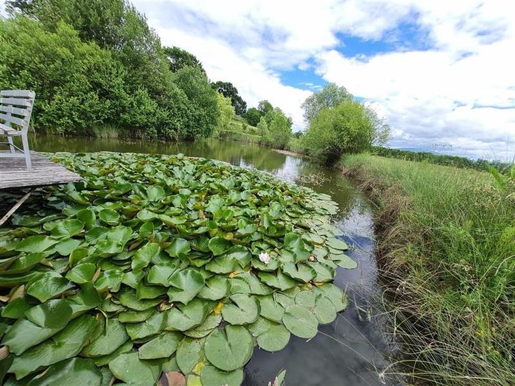 Film & Tur LIVE! Rafinament in cartier linistit, pe 30.000 mp teren paradis, fac - 3