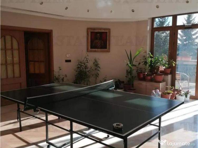 Vila deosebita 9 camere - Cornu de Jos - 3