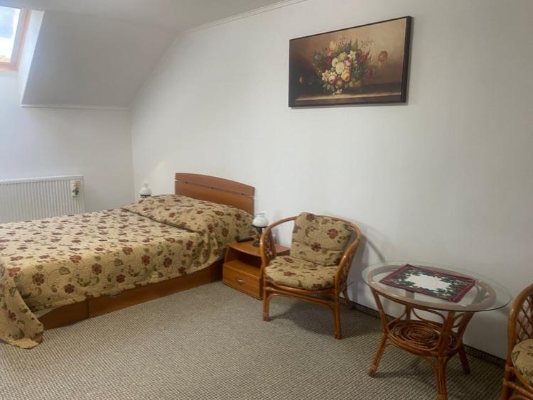 Vila  spațioasă de închiriat în centrul Brașovului - 8