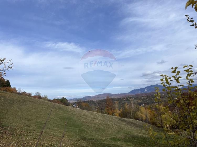 Teren de Vis in Bran - 1000mp Plat, Liniste Absoluta si Aer Curat - 6