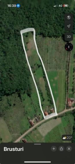 Casa, anexa si teren intravilan - 6