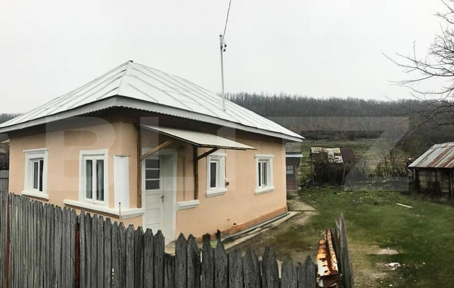 Casa + Teren - 1.724 mp Parcelat de vanzare Valea Mare - 5