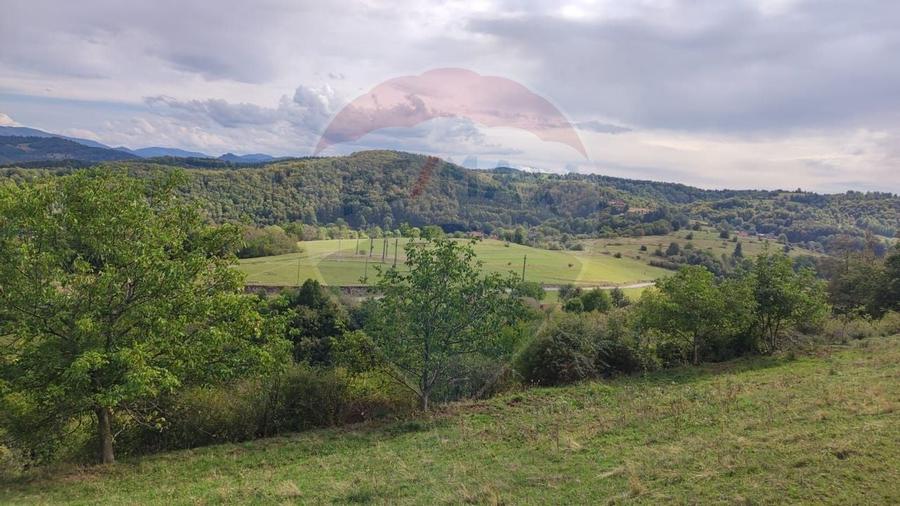 Teren constructii si faneata/livada 3082 mp Damis Bratca drum DJ 764D - 3