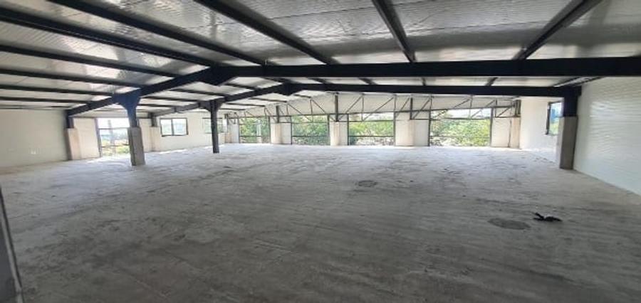 Ovidiu- descarcare A4, hala 1.600 mp. - 6