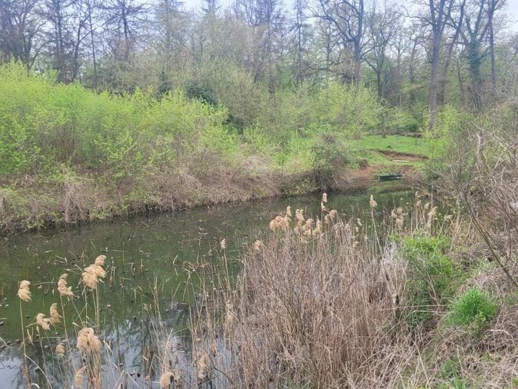 SUPER  OCAZIE TEREN 4000MP DE VANZARE IN SNAGOV CU DESCHIDERE LA LACUL SNAGOV - 3