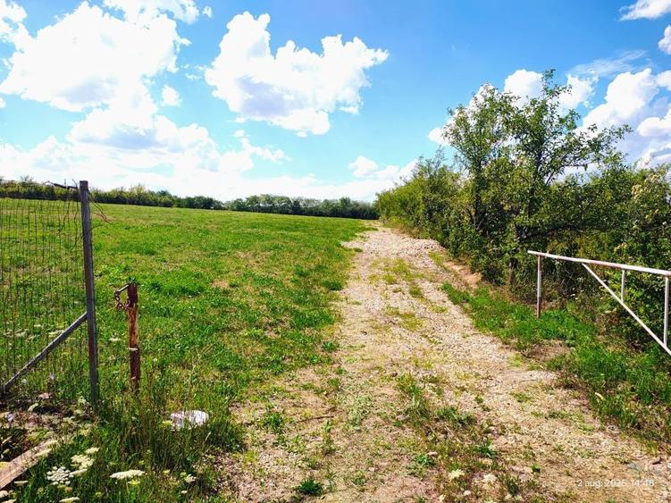 Teren extravilan - 9