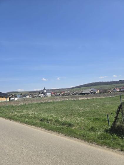 teren intravilan tibeni - 2