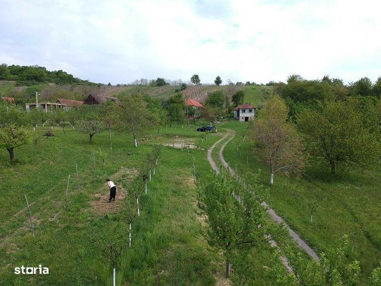 Teren Orasu Nou Vii ,Intravilan 38 Ari , Casa + Livada pomi fructiferi - 1