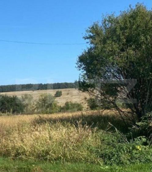 Teren intravilan 9200mp, front 23 metri ,Barsesti, Gorj - 1