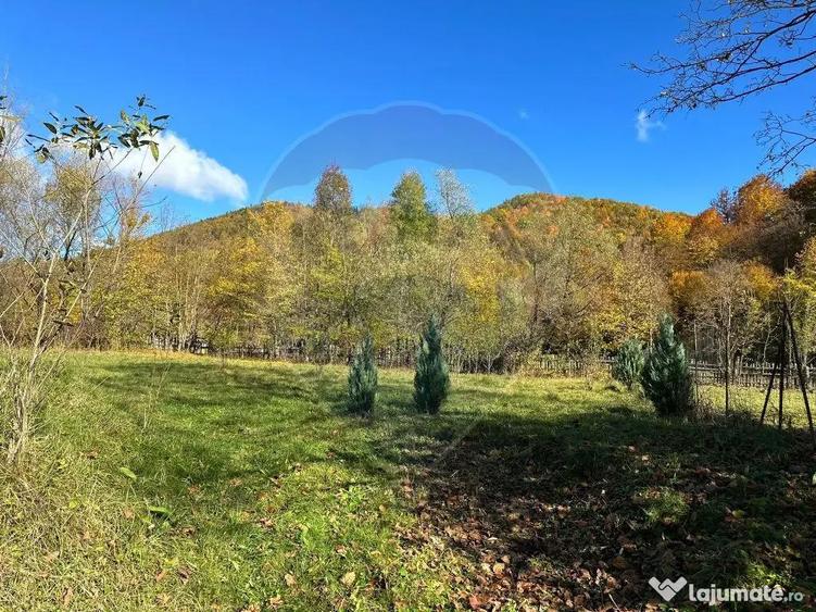 Teren de vanzare Cuiejdel 1350 mp - 9