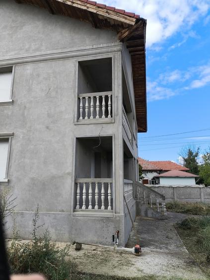 Cervenia, Teleorman - 20