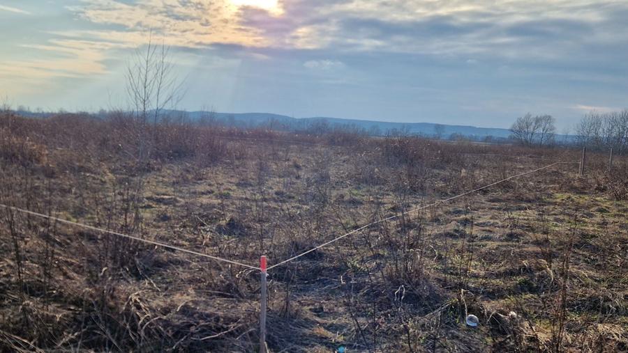 23 ari intravilan Busag - 5