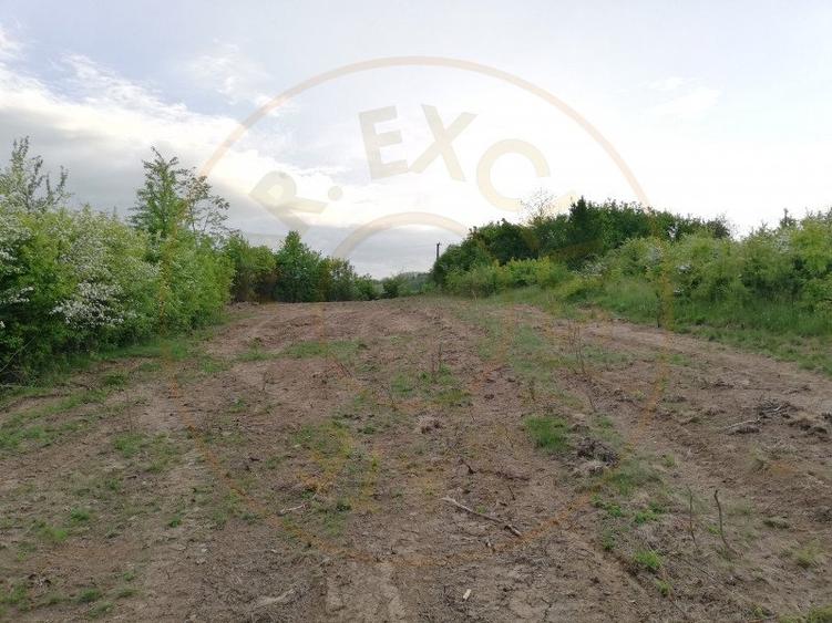 Teren 2000 mp intravilan Smeura-Mosoaia. Comision 0% - 1