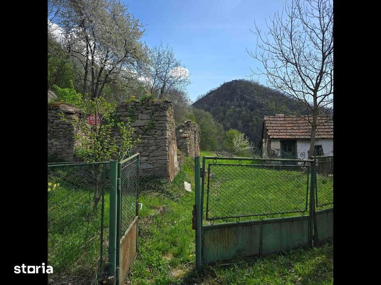 Teren de vis cauta proprietar. - 12