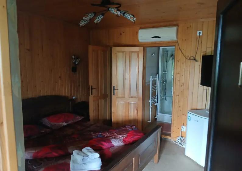 Proprietate Casa Vacanta Eselnita, Mehedinti - 8