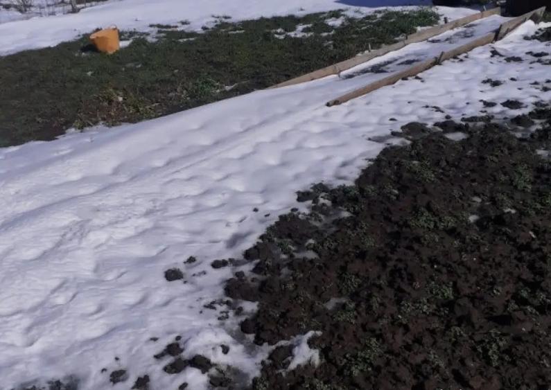 Techirghiol , teren intravilan cu o casuta de vacanta - 4