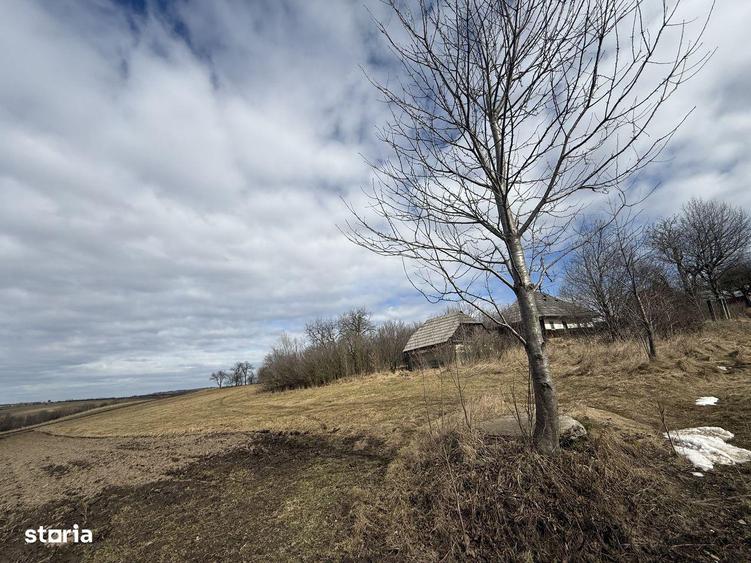 Teren intravilan | 16 ari | Horodnic de Jos zona Calugari?a - 1